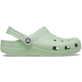 Vert Pâle