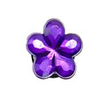 ÉTOILE VIOLETTE POUPRE