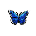 Papillon Bleu